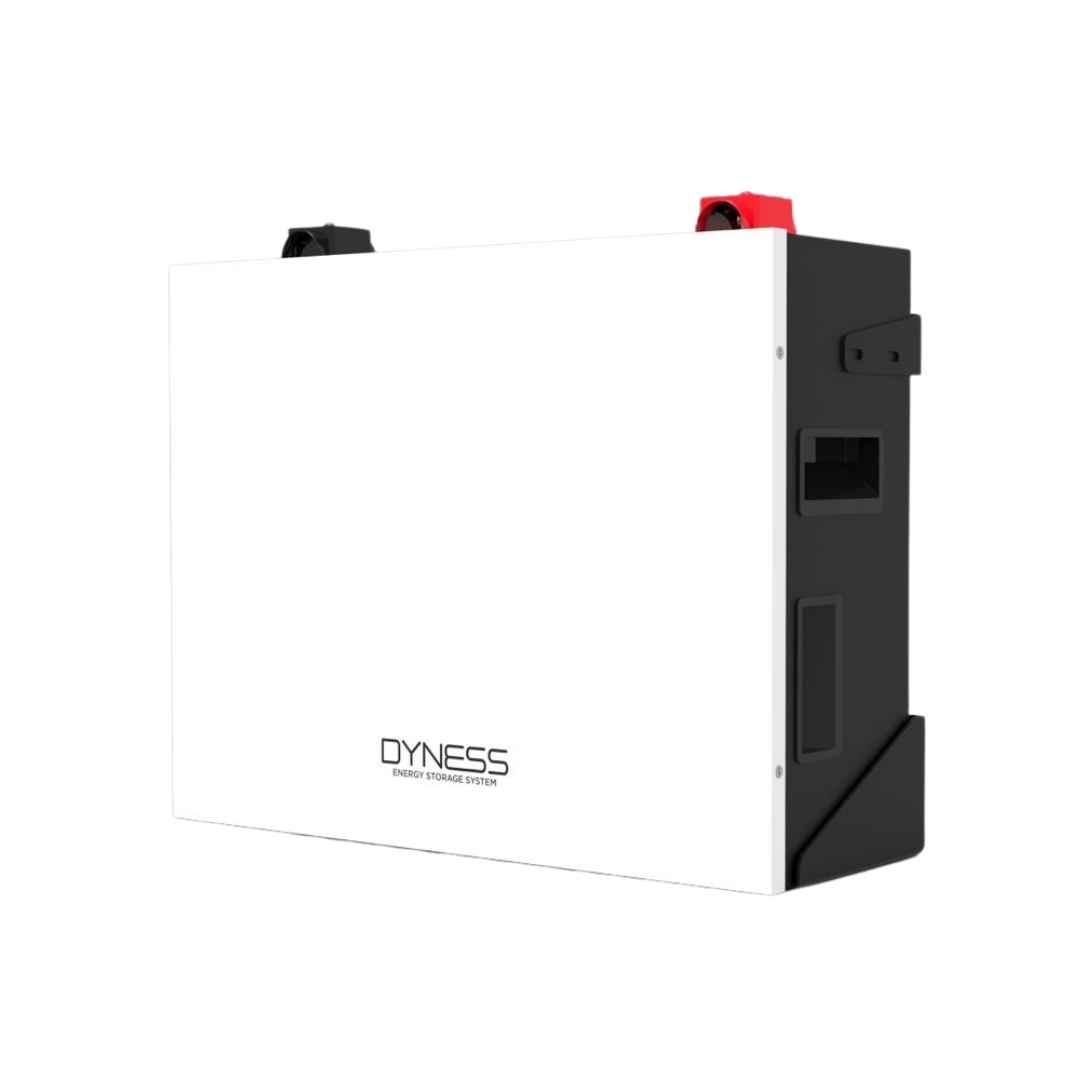 Dyness Lithium Battery A48100